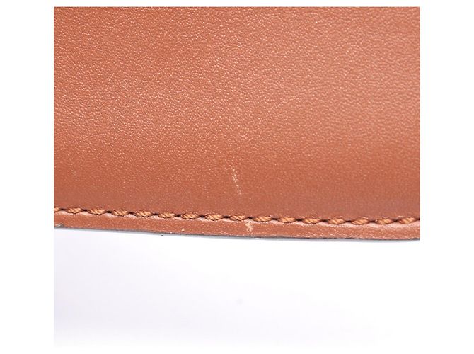 Borsa a tracolla piatta con soffietto Loewe Marrone - vista 6