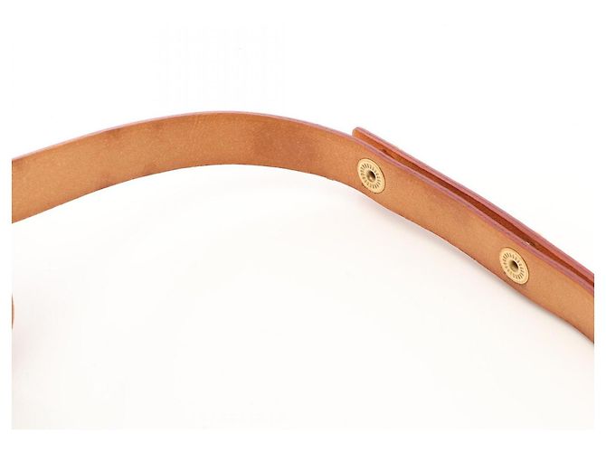 Pochette Florentine Louis Vuitton Waist Bag Marrone - vista 10