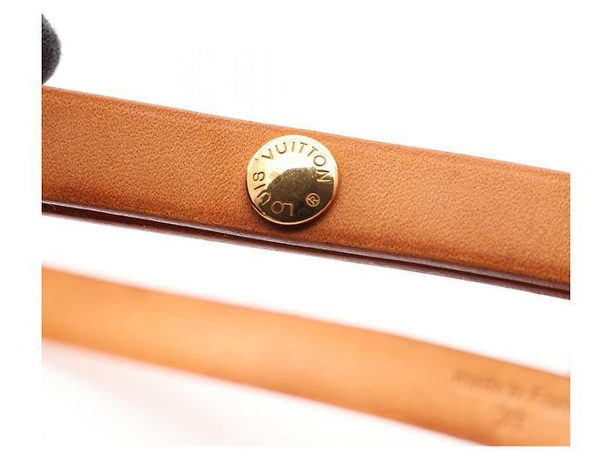 Pochette Florentine Louis Vuitton Waist Bag Marrone - vista 11