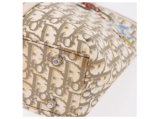 Borsa Christian Dior Trotter Canvas Beige Silver Auth bs36071 Argento - vista 16