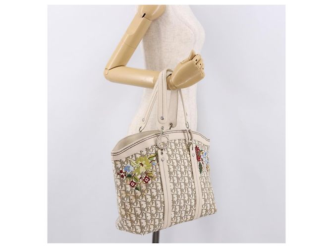 Borsa Christian Dior Trotter Canvas Beige Silver Auth bs36071 Argento - vista 24