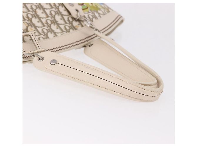 Borsa Christian Dior Trotter Canvas Beige Silver Auth bs36071 Argento - vista 8
