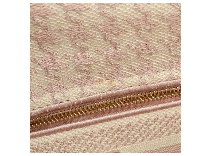 Christian Dior Dior LADY D-LITE Borsa Media Rosa Crudo - vista 10