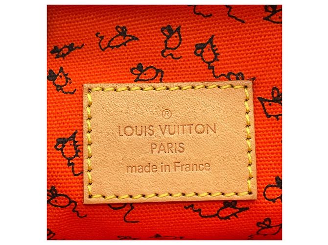Borsa a Spalla Louis Vuitton Monogram Marrone Arancione - vista 14