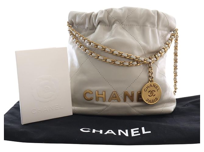 Chanel White Mini Shiny Calfskin 22 Hobo Bianco - vista 15