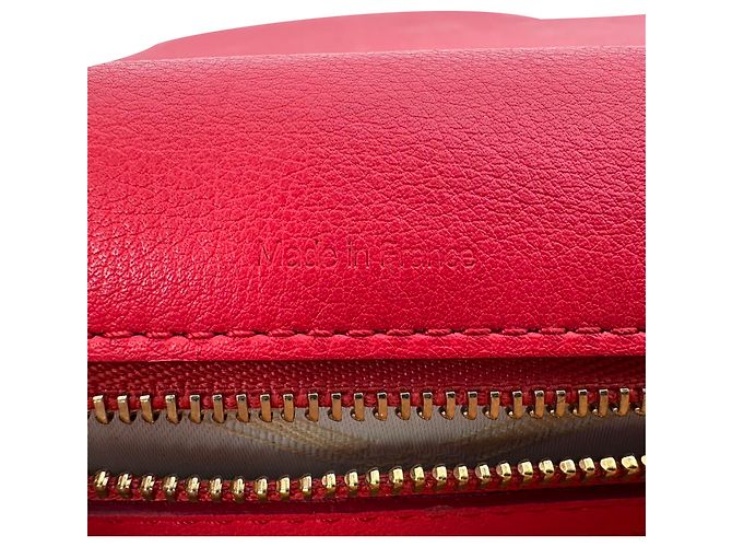 Mini borsa a tracolla Madame in pelle rossa Delvaux Rosso - vista 15
