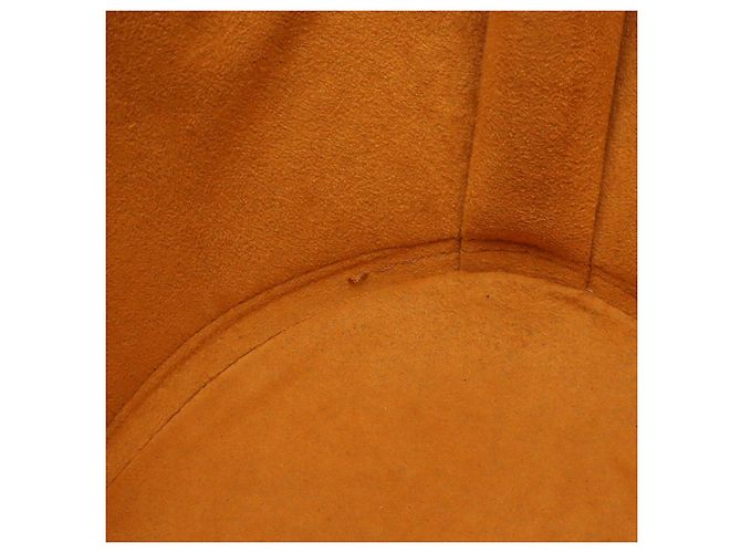 Tote Saint Jacques in pelle Epi Louis Vuitton Marrone - vista 9