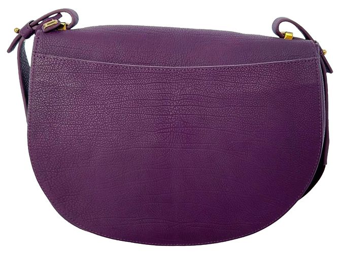 Borsa a sella Le Mutin Delvaux in pelle di vitello viola Porpora - vista 5