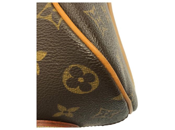 Borsa a Spalla Louis Vuitton Monogram Blois M51221 Marrone - vista 4