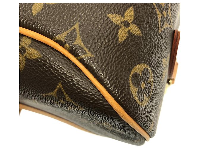 Borsa a Spalla Louis Vuitton Monogram Blois M51221 Marrone - vista 5
