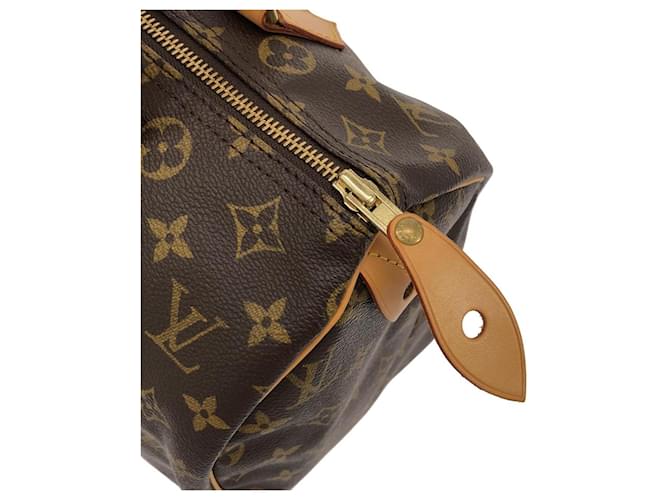 Speedy Borsa Boston Louis Vuitton Marrone - vista 4