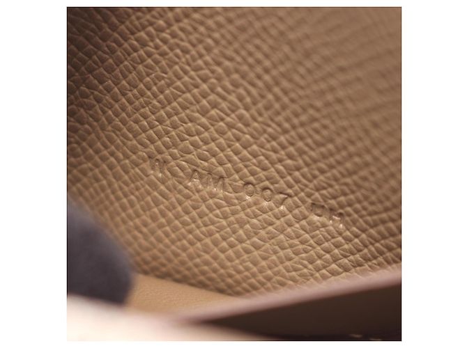 Hermès Borsa a tracolla Hermes Snap Tougo Etoupe Marrone Taupe - vista 5