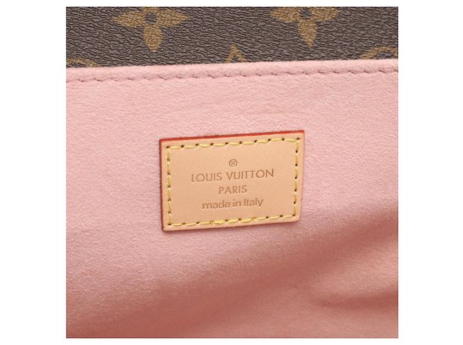 Borsa a 2 vie Louis Vuitton Pochette Metis MM Monogram Tiger Head Marrone Multicolore - vista 4