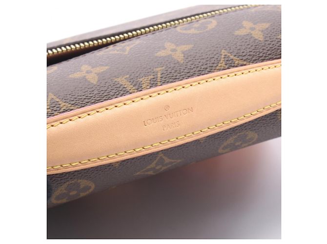 Borsa a 2 vie Louis Vuitton Pochette Metis MM Monogram Tiger Head Marrone Multicolore - vista 6