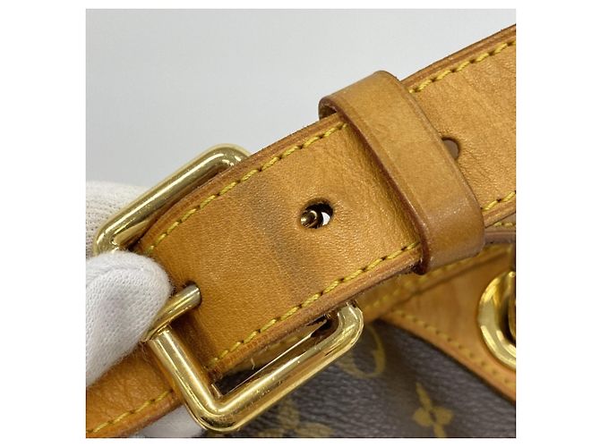Borsa a Spalla Louis Vuitton Monogram Galliera PM Marrone - vista 11
