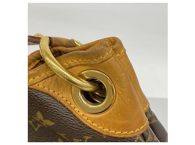 Borsa a Spalla Louis Vuitton Monogram Galliera PM Marrone - vista 7