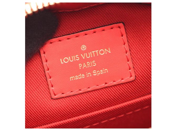 Borsa a Spalla 2-Way Louis Vuitton Saint-Onge Monogram Coquelicot Marrone Rosso - vista 4