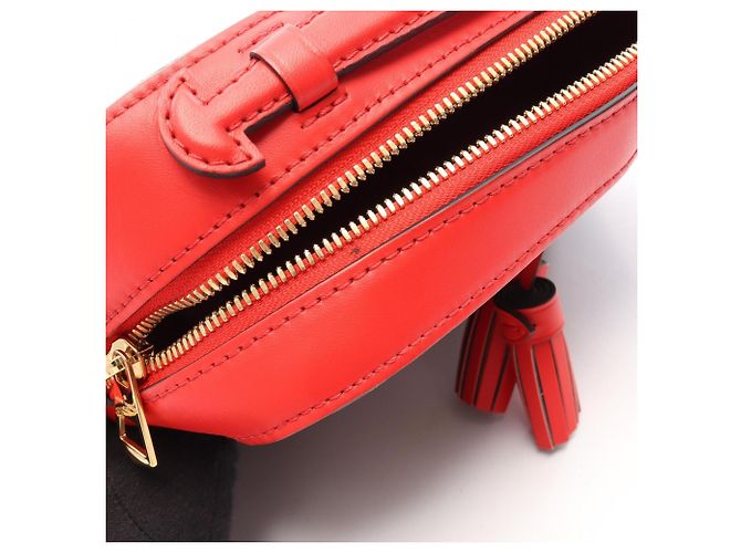 Borsa a Spalla 2-Way Louis Vuitton Saint-Onge Monogram Coquelicot Marrone Rosso - vista 7