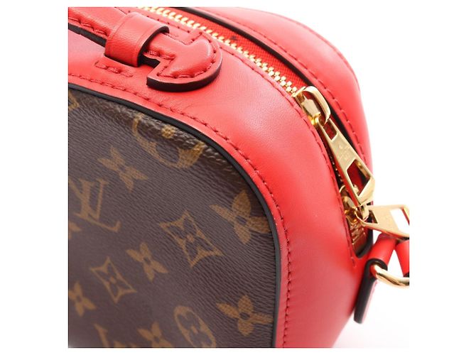 Borsa a Spalla 2-Way Louis Vuitton Saint-Onge Monogram Coquelicot Marrone Rosso - vista 8