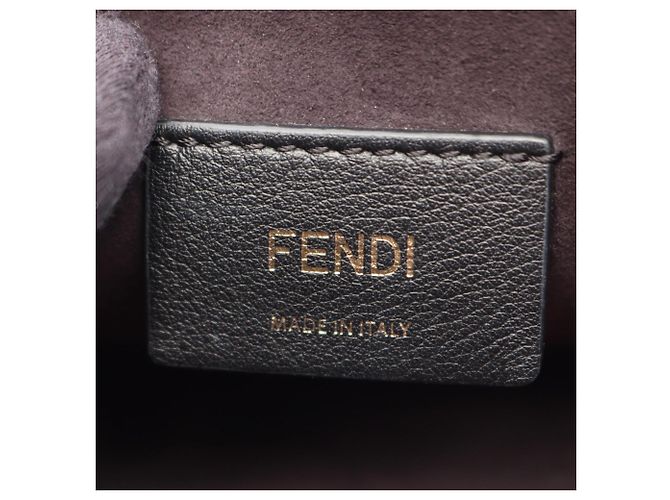 Fendi Kanai Medium Lederhandtasche Schwarz - Ansicht 4