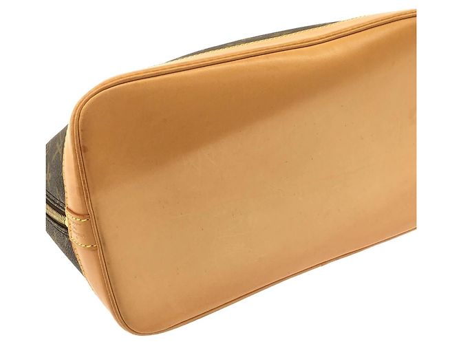 Borsa Louis Vuitton Monogram Alma PM Marrone - vista 3