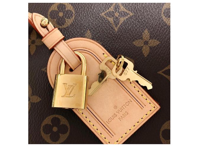 Borsa Louis Vuitton Monogram Grand Palais MM Marrone - vista 3