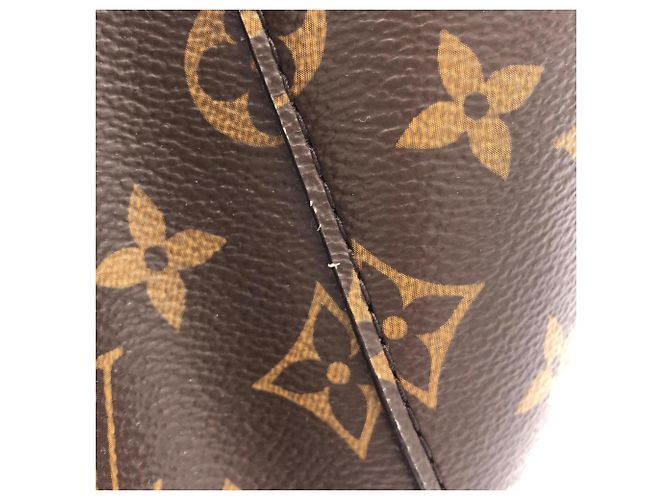 Néonoé Borsa a Spalla Louis Vuitton Monogram Neo Noe MM Marrone Rosa - vista 5