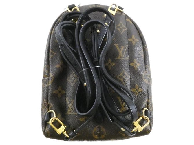 Zaino Louis Vuitton Monogram Palm Springs MINI Marrone - vista 2