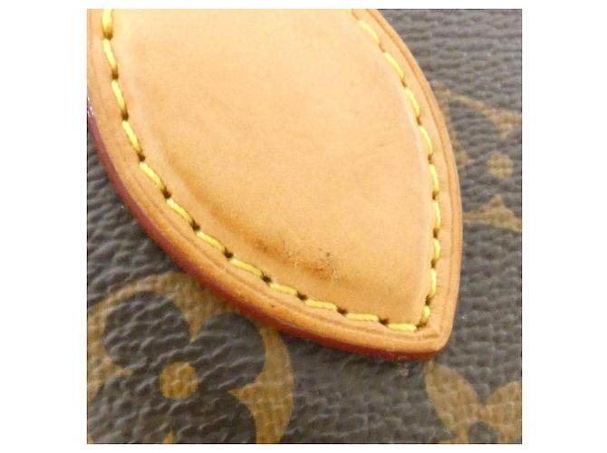 Bolso Louis Vuitton Monogram Rivoli PM Castaño - vista 5