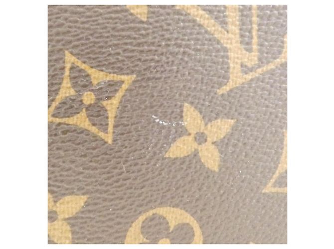 Bolso Louis Vuitton Monogram Rivoli PM Castaño - vista 6