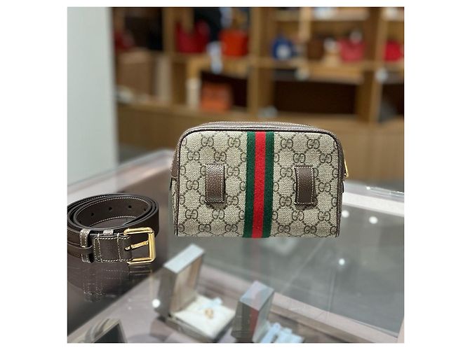 Borsa a tracolla e cintura Ophidia Gucci Marrone Monogramma - vista 3