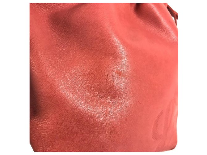 Pochette a tracolla con logo Anagram Loewe Rosa Rosso - vista 12