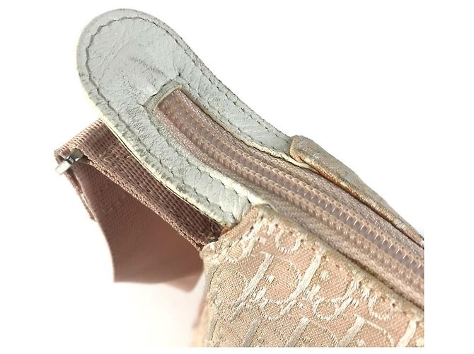 Borsa Christian Dior Dior Trotter Logo Rosa Bianco Giallo - vista 10