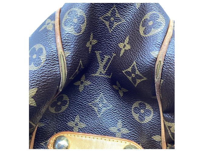 Borsa Louis Vuitton Monogram Galliera PM in tela rivestita marrone D'oro Metallico - vista 8
