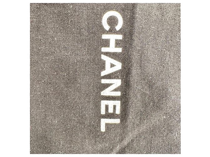 Timeless Ballerine Chanel Cap Toe Chain in scamosciato blu Blu chiaro - vista 14