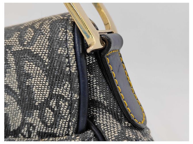 Christian Dior Saddle Oblique Canvas Medium Multicolore - vista 6