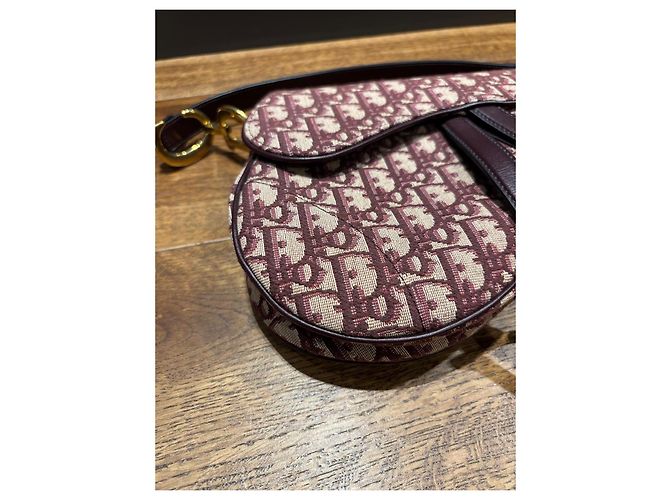 Borsa Saddle Trotter Christian Dior - vista 13