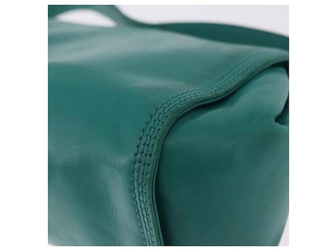 Borsa a Spalla LOEWE in Pelle Verde Oro Auth 190720A D'oro - vista 17