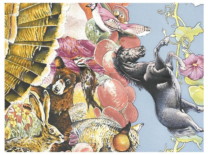 Carré Hermès Faune et Flore du Texas Wildlife in Seta 90 cm Marrone Rosa Bianco Blu D'oro Giallo - vista 11