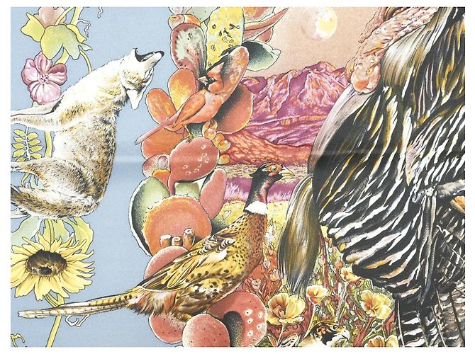 Carré Hermès Faune et Flore du Texas Wildlife in Seta 90 cm Marrone Rosa Bianco Blu D'oro Giallo - vista 14