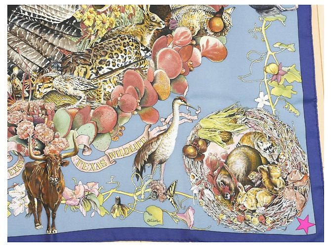 Carré Hermès Faune et Flore du Texas Wildlife in Seta 90 cm Marrone Rosa Bianco Blu D'oro Giallo - vista 6