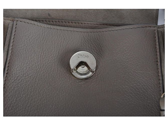 Chloé Faye Piccola Borsa a Tracolla in Pelle - Taupe Gray Beige - vista 11
