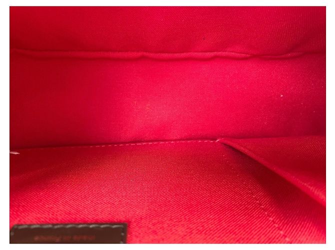 Borsa a tracolla Louis Vuitton Sologne marrone - vista 11