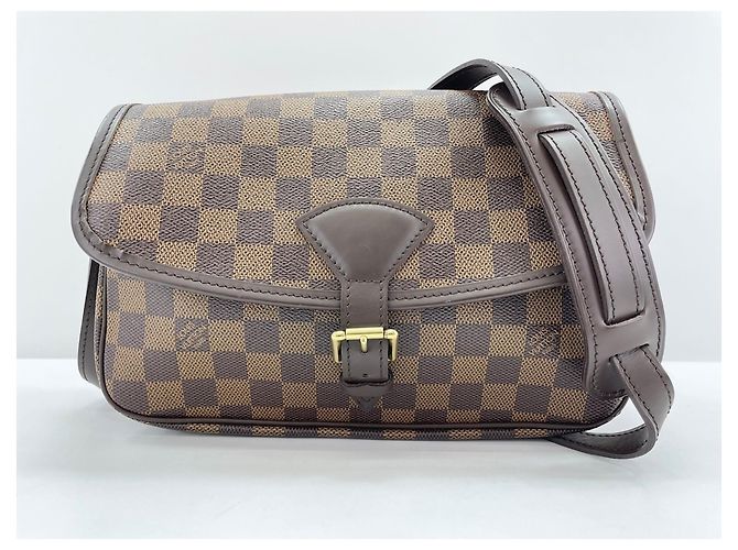 Borsa a tracolla Louis Vuitton Sologne marrone - vista 12