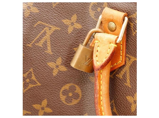 Louis Vuitton Speedy 30 Monogram Canvas Marrone - vista 10