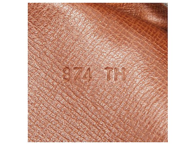 Bolso bandolera Louis Vuitton Monogram Amazon Castaño - vista 11