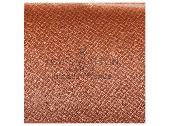 Bolso bandolera Louis Vuitton Monogram Amazon Castaño - vista 12