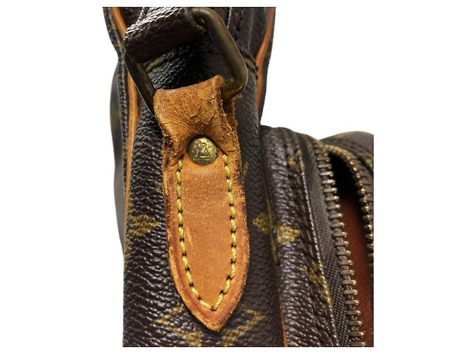 Bolso bandolera Louis Vuitton Monogram Amazon Castaño - vista 8