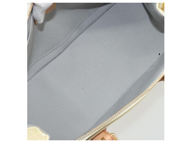 LOUIS VUITTON Borsa Monogram Vernis Rosewood Avenue Perle M93508 Auth ep15223 - vista 11