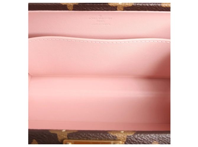 Borsa a tracolla Louis Vuitton Trunk Monogram Craggy Canva di Tyler, the Creator marrone M11120 Brown Rosa - vista 11